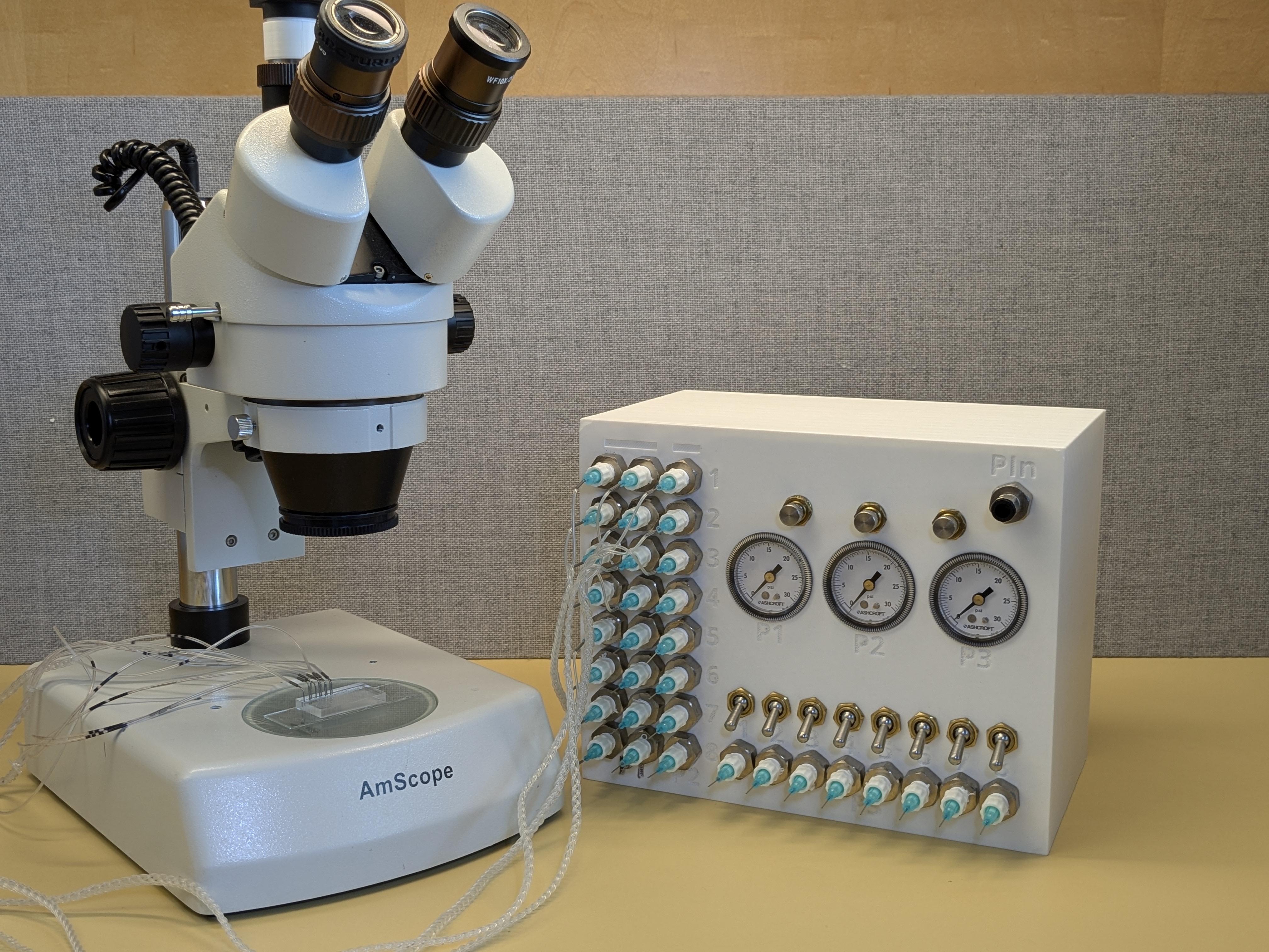System View